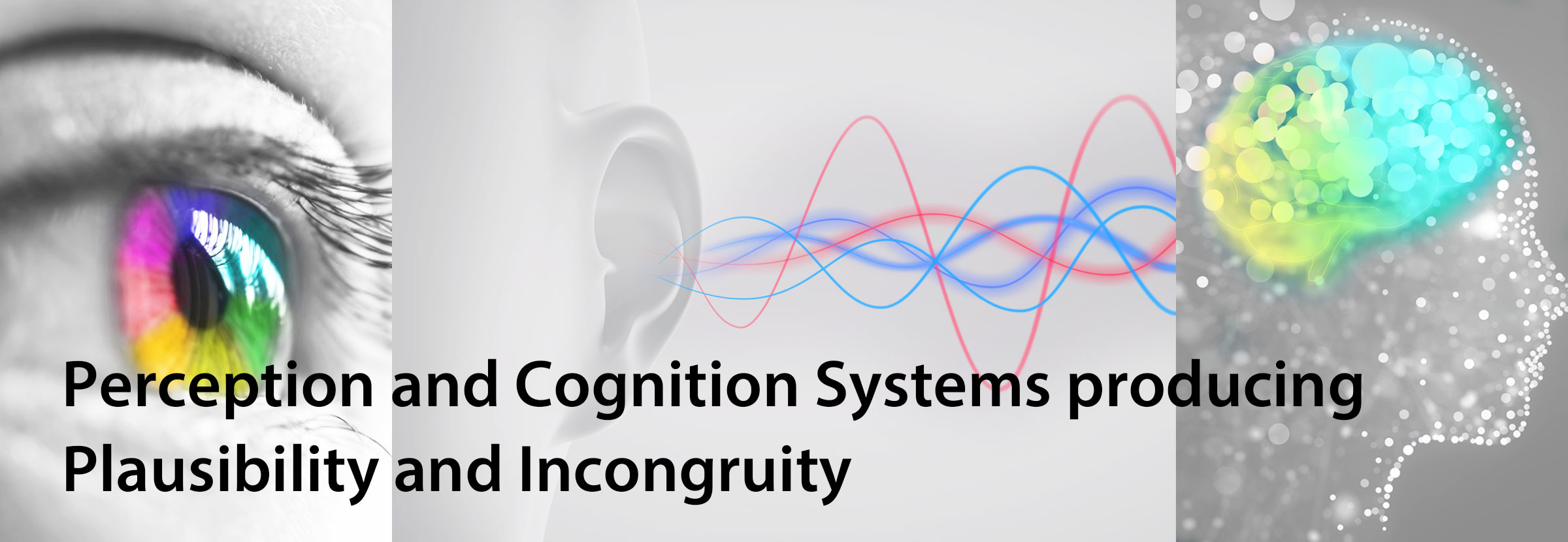 Perception and Cognition Systems producing Plausibility and Incongruity